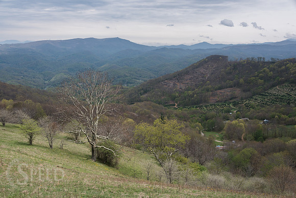 Roan Mountain Section of Appalachian Trail