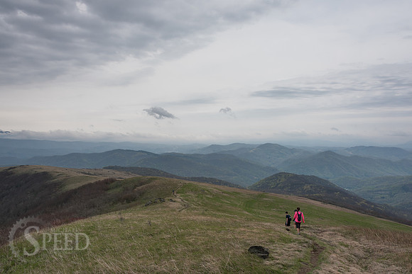 Roan Mountain Section of Appalachian Trail
