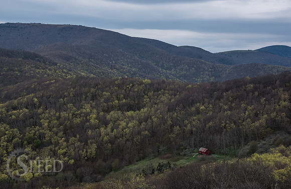 Roan Mountain Section of Appalachian Trail