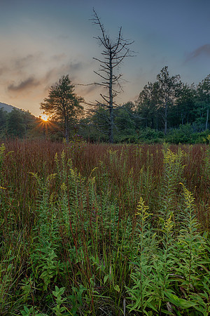Rocky Knob Recreation Area