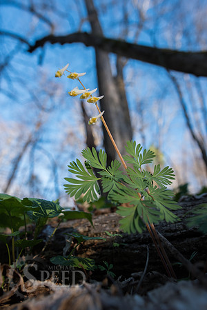 New River Trail State Park