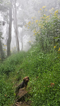 Rocky Knob Recreation Area