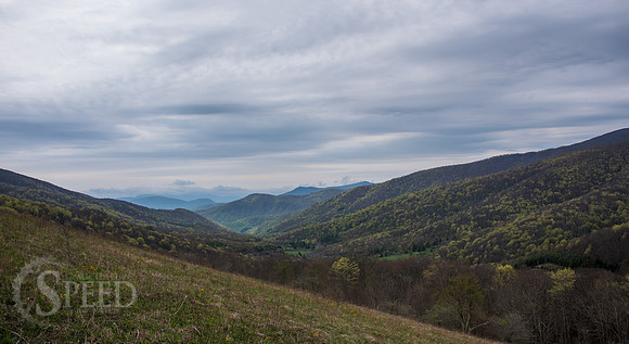 Roan Mountain Section of Appalachian Trail