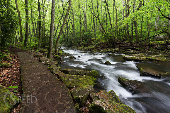 Cascades Trail Pembroke Virginia