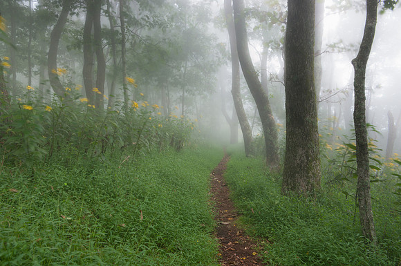 Rocky Knob Recreation Area