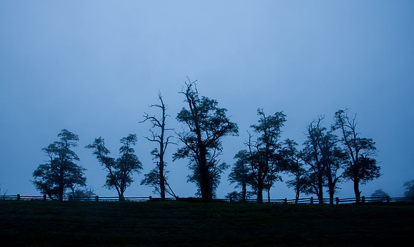 Doughton Park Twilight Scenes