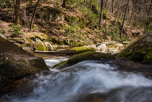 Doughton Park Blue Ridge Parkway