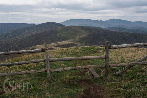 Roan Mountain Section of Appalachian Trail