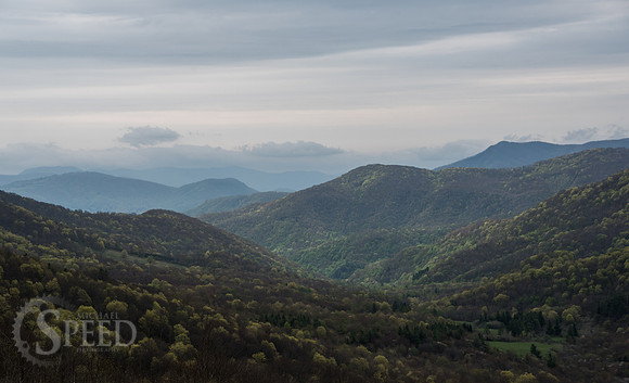 Roan Mountain Section of Appalachian Trail