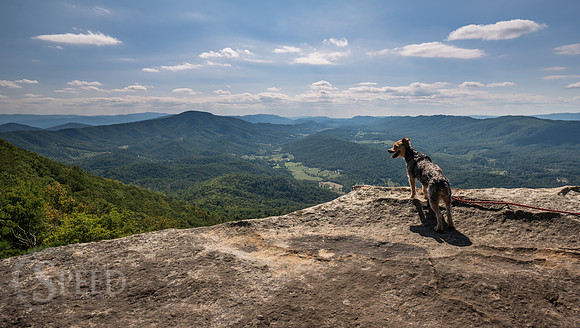 Tinker Cliffs Appalachian Trail