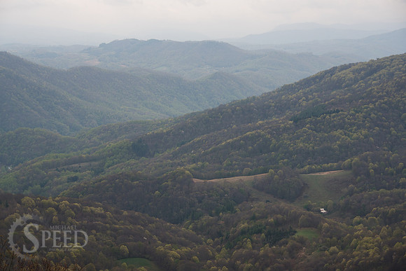Roan Mountain Section of Appalachian Trail