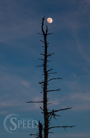 Grayson Highlands State Park