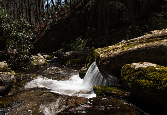Doughton Park Blue Ridge Parkway