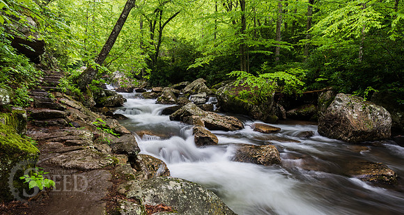 Cascades Trail Pembroke Virginia