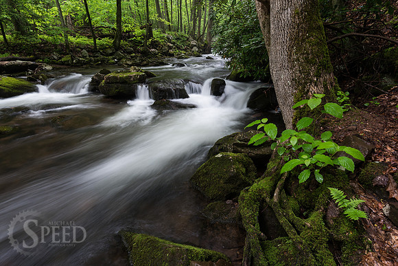 Cascades Trail Pembroke Virginia