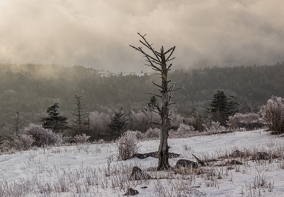 Grayson Highlands Winter