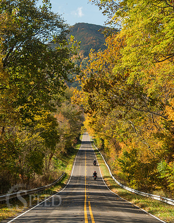 virginia fall color