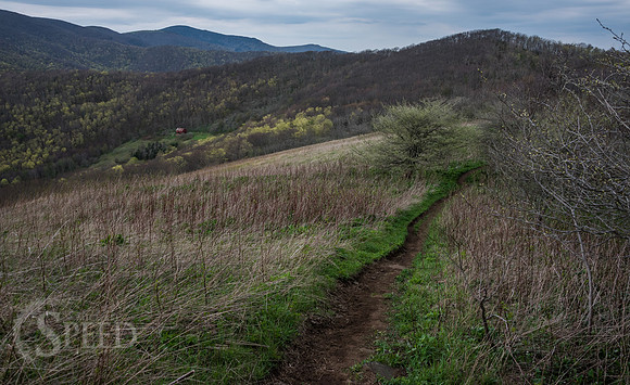Roan Mountain Section of Appalachian Trail