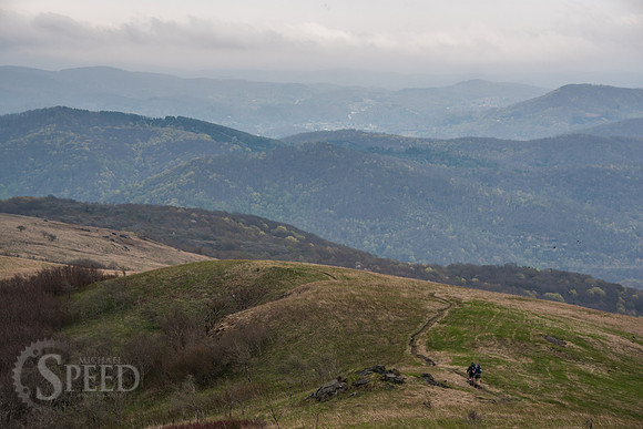Roan Mountain Section of Appalachian Trail