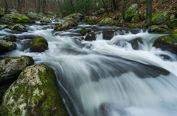 Little Stony Creek and Cascades