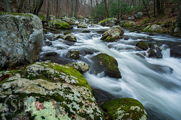 Little Stony Creek and Cascades