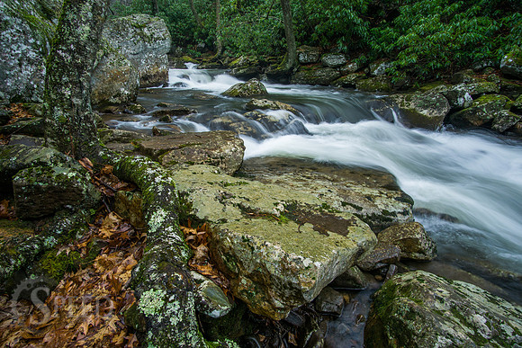 Little Stony Creek and Cascades