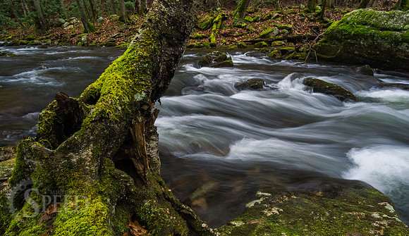 Little Stony Creek and Cascades