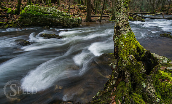 Little Stony Creek and Cascades