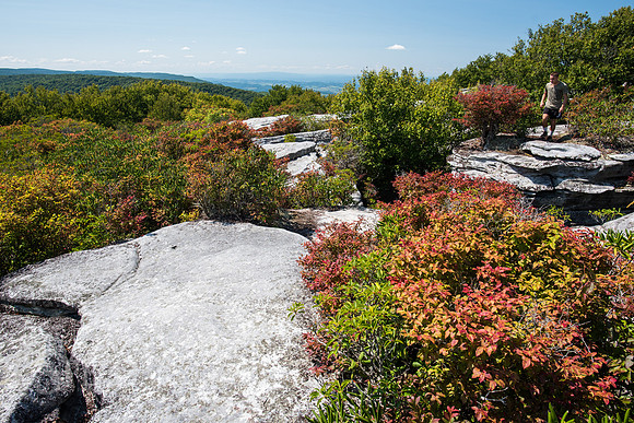 The Channels of Virginia