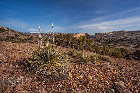 big horn canyon