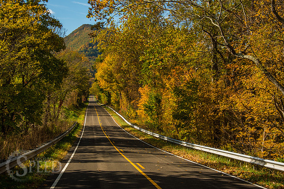 virginia fall color