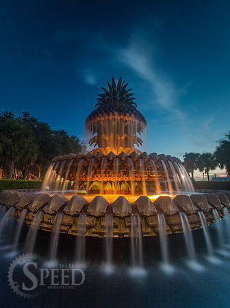 Pineapple Fountain Charleston