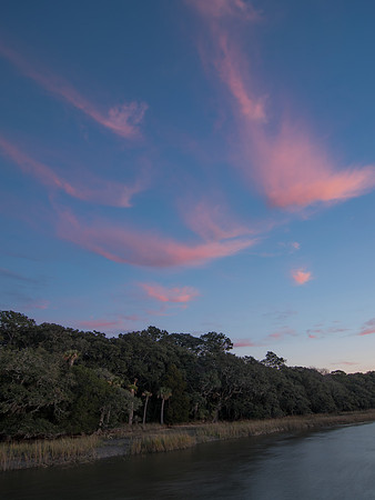 Edisto Island Beach and State Park