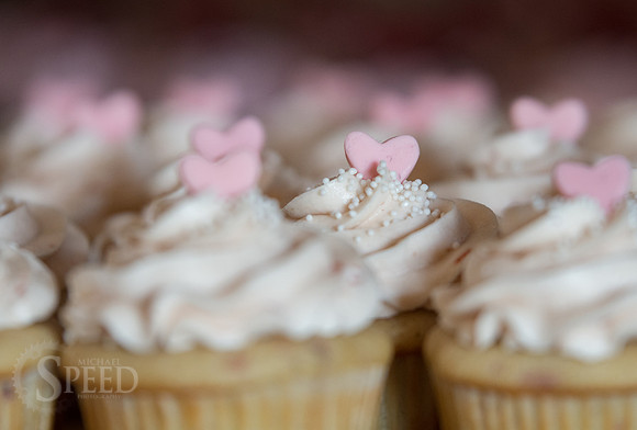 Wedding Reception