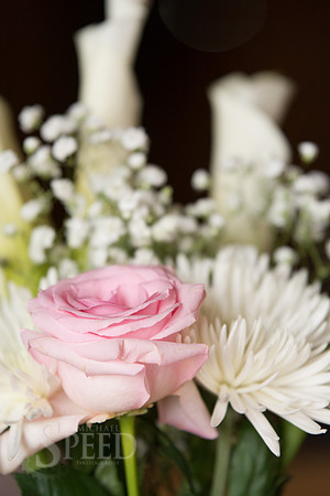 Wedding Reception