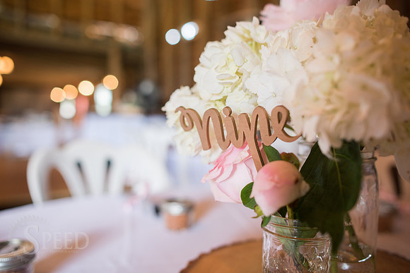 Wedding Reception
