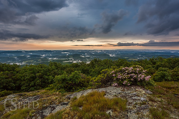 Buffalo Mountain Nature Preserve