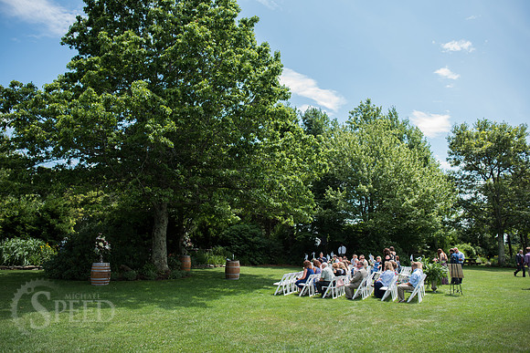 chateau morrisette wedding photography