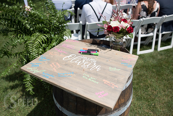 chateau morrisette wedding photography