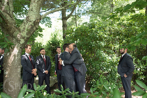 chateau morrisette wedding photography