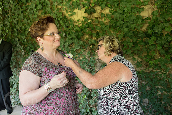 chateau morrisette wedding photography