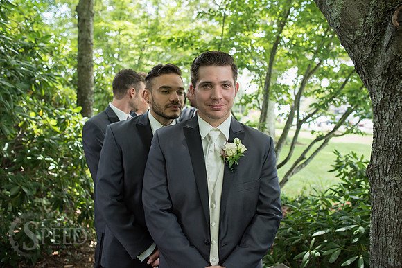 chateau morrisette wedding photography