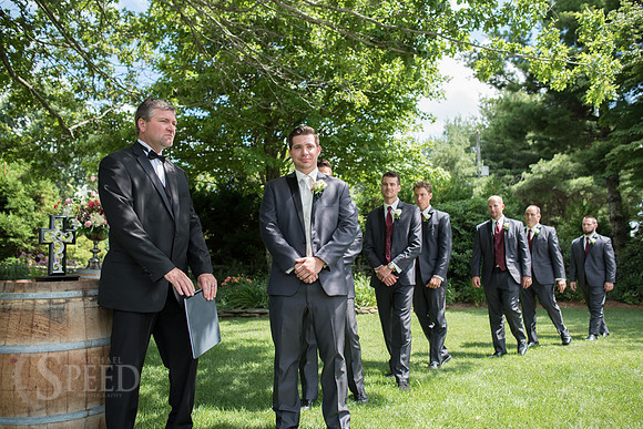 chateau morrisette wedding photography