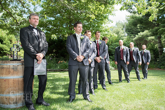 chateau morrisette wedding photography