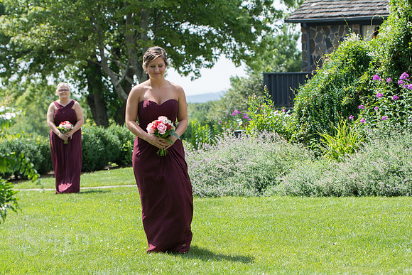 chateau morrisette wedding photography