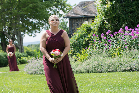chateau morrisette wedding photography