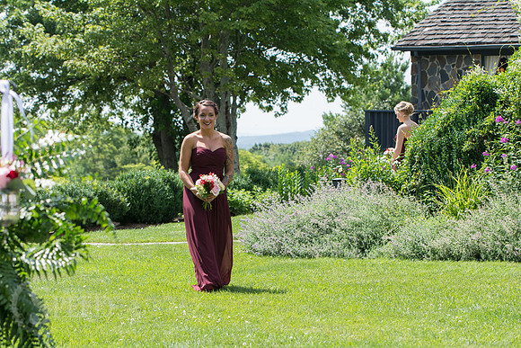 chateau morrisette wedding photography
