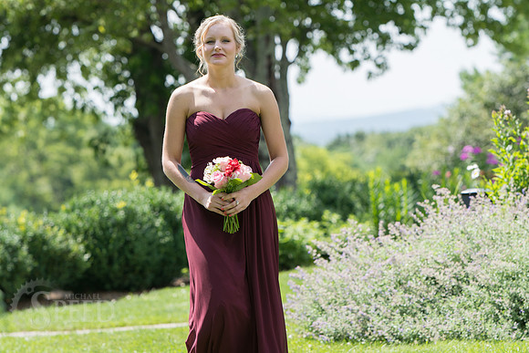 chateau morrisette wedding photography