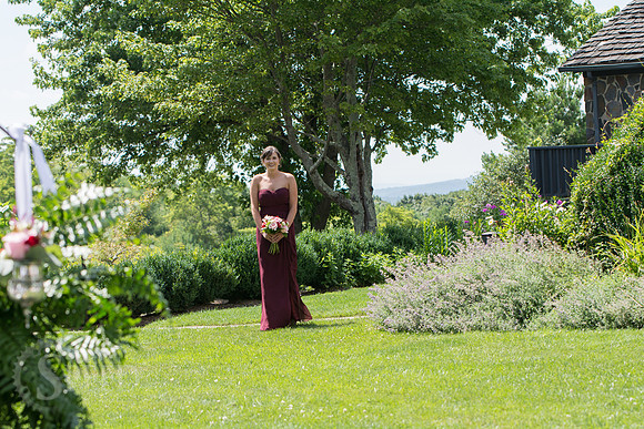 chateau morrisette wedding photography