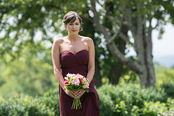 chateau morrisette wedding photography